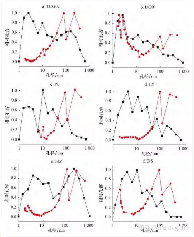 【油氣專欄】儲層表征的他山之石--核磁共振納米孔隙分析法