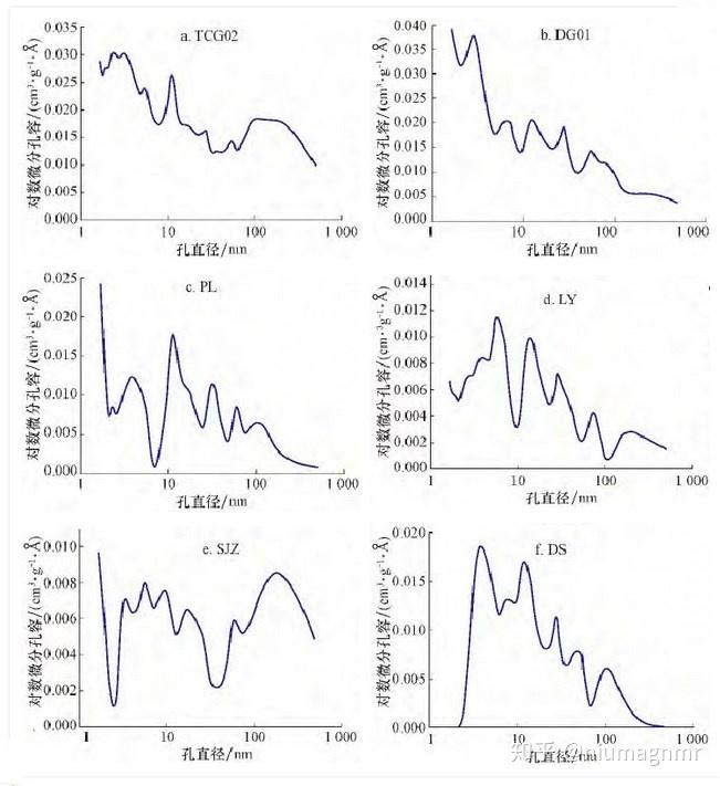 【油氣專欄】儲層表征的他山之石--核磁共振納米孔隙分析法