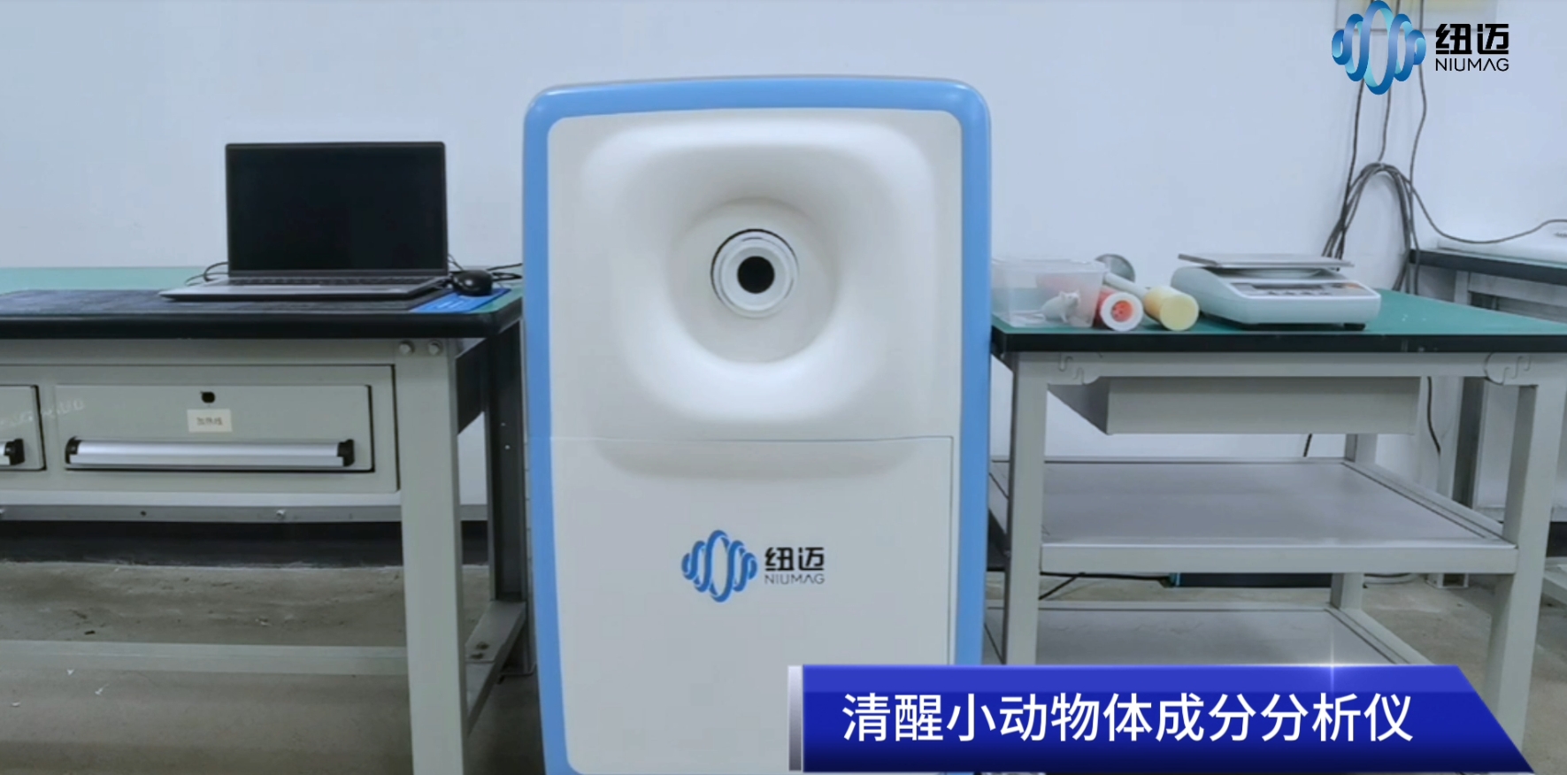 清醒小動物體成分分析儀儀器操作流程