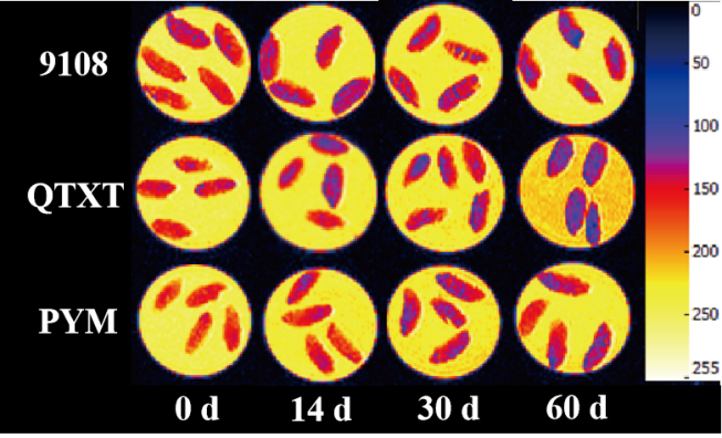 “紐邁杯”江南大學優秀案例解析|不同冷凍儲藏期速凍米飯水分分布變化規律探究
