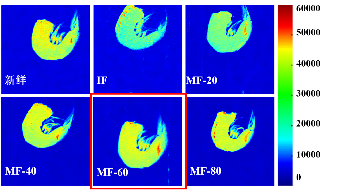 “紐邁杯”江南大學(xué)優(yōu)秀案例解析|低場核磁共振分析用于磁場輔助冷凍對蝦仁水分遷移的調(diào)控研究